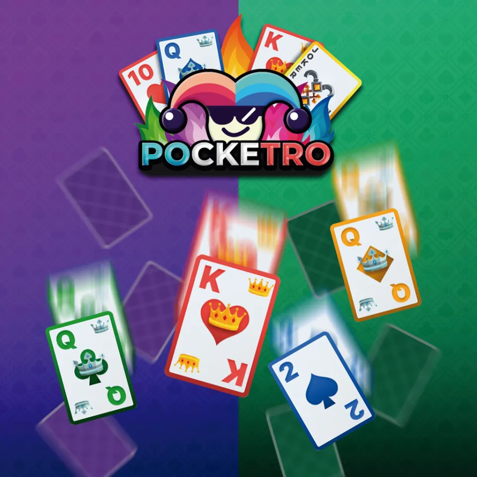 Pocketro project visual