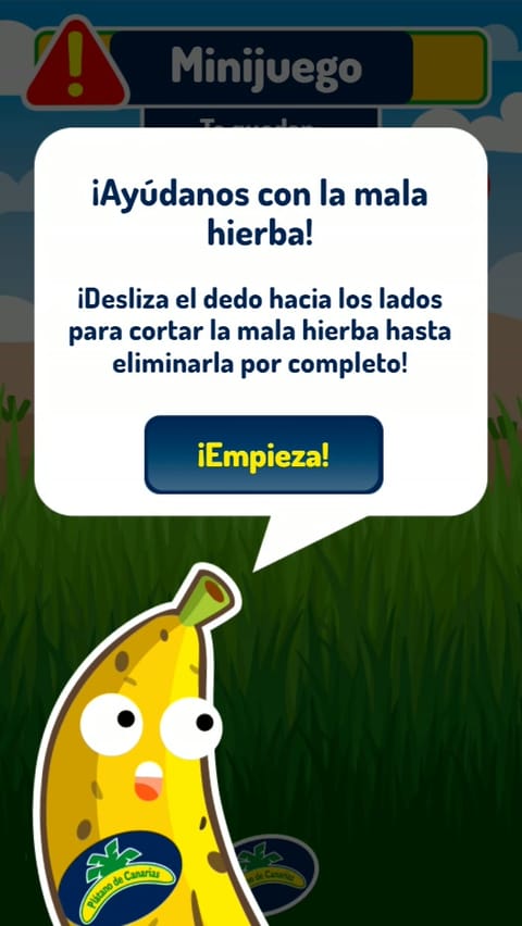 Imagen de apoyo 6 de este proyecto